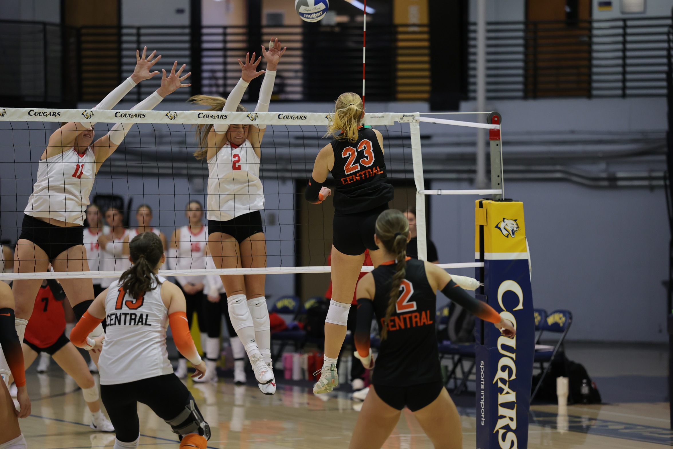 Rustlers Fight Their Way Through Region 9 Tournament, Fall Short in Final Game